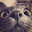 Guo z's avatar